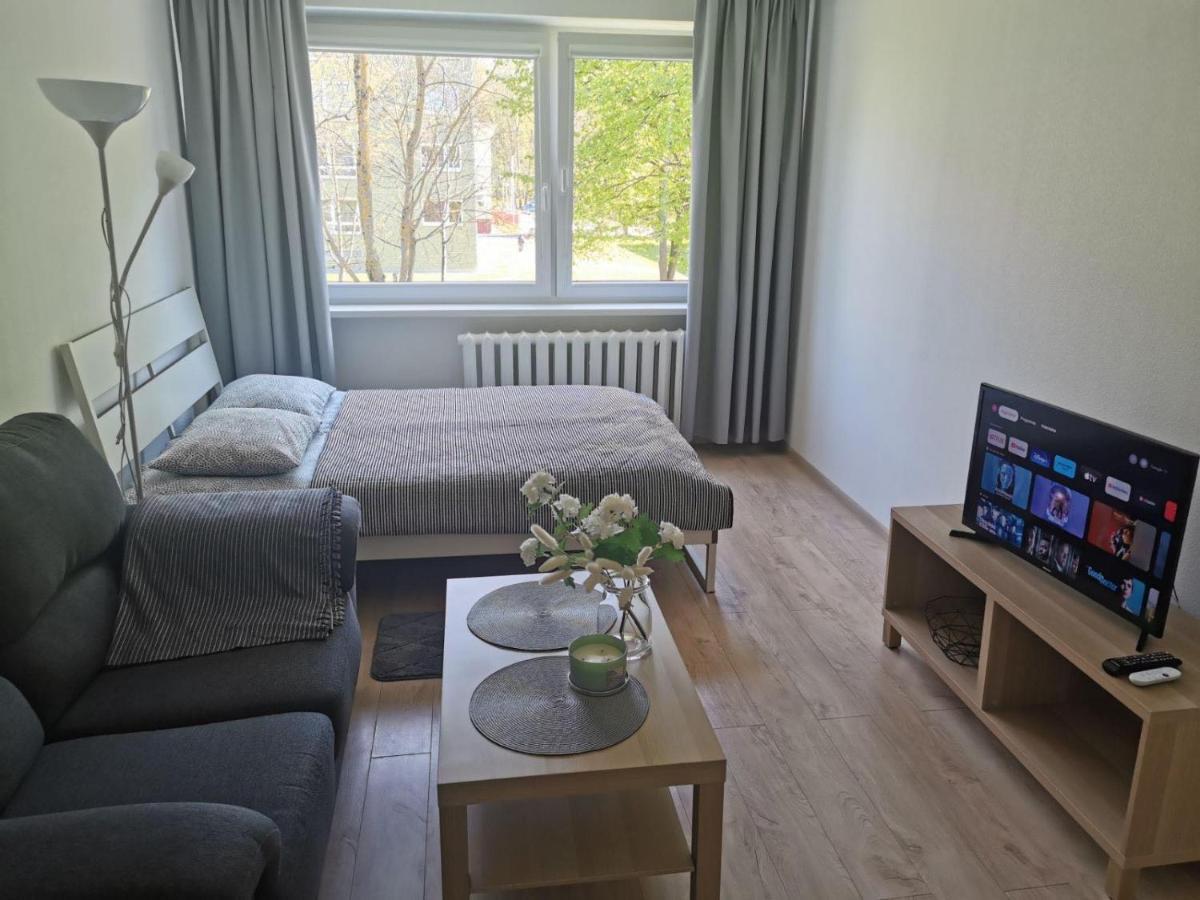 Modern Studio Debreceno, Self-Check-In, Free Parking Klaipeda Ngoại thất bức ảnh